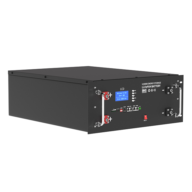 Rack LFP Energy Storage Battery (48V/51.2V 100Ah/200Ah/300Ah) | Multi-Inverter Support | 15-Parallel Expansion