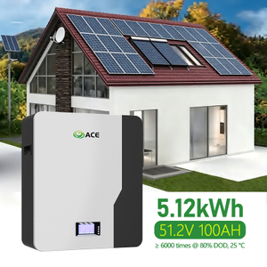 ACE 5.12kWh 51.2V 100Ah LiFePO4 Solar Battery | RS485 CAN, 6000 Cycles, 10-Year Warranty